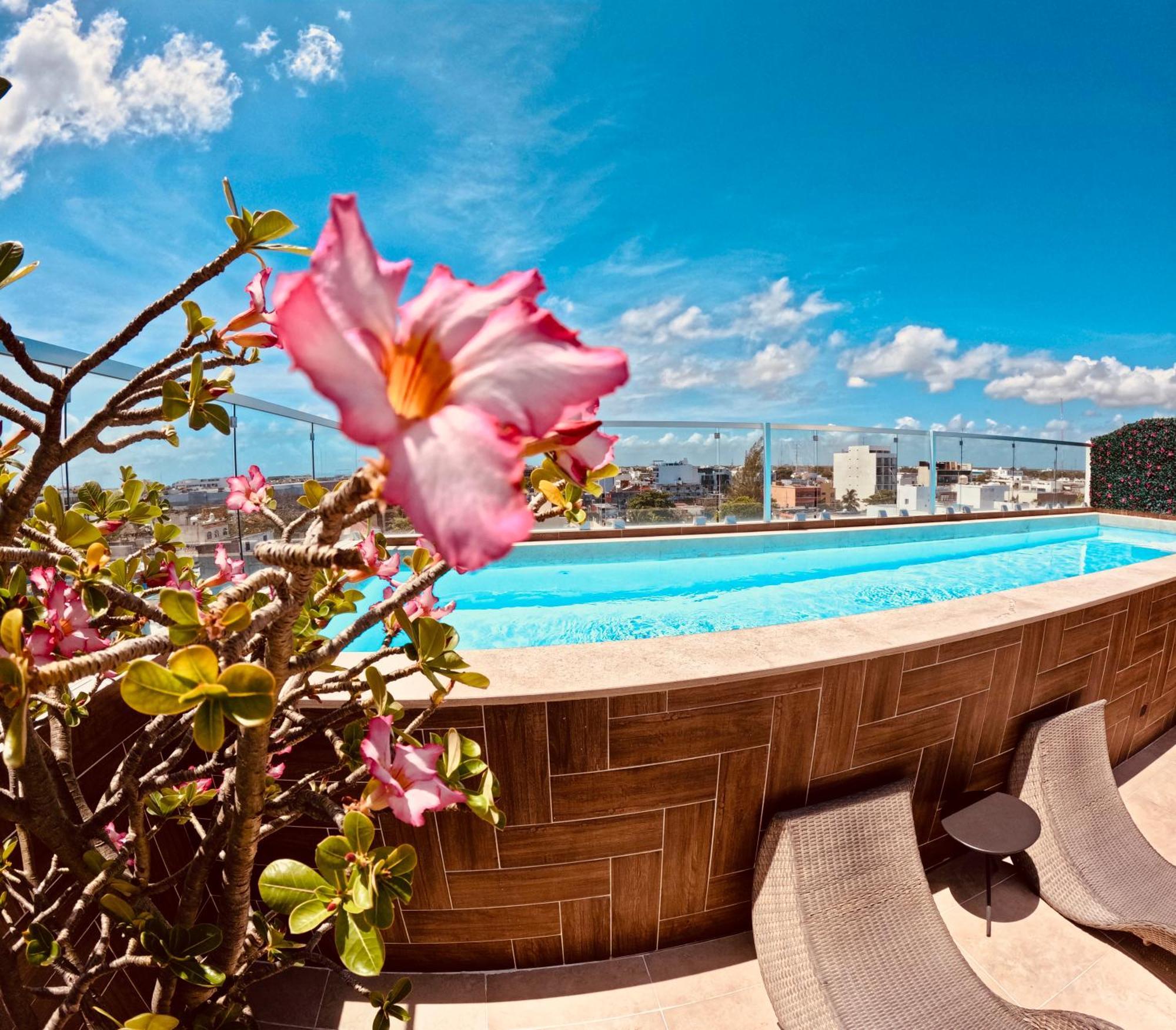 Studios With Roofpool In Vanessa 24 Playa del Carmen Eksteriør billede